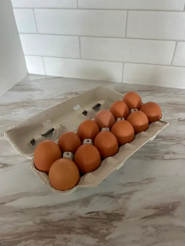 XL/XXL FARM EGGS FOR SALE