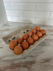 XL/XXL FARM EGGS FOR SALE