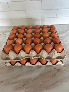 XL/XXL FARM EGGS FOR SALE - Photo 2