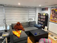 Luxury 1 Bedroom Bloor West Apartment For Rent $1845 Hydro - Photo 4