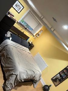 Luxury 1 Bedroom Bloor West Apartment For Rent $1845 Hydro - Photo 5