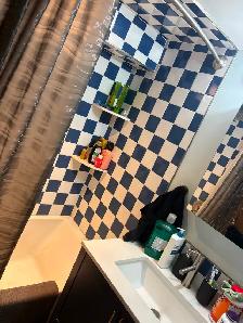 Luxury 1 Bedroom Bloor West Apartment For Rent $1845 Hydro - Photo 9