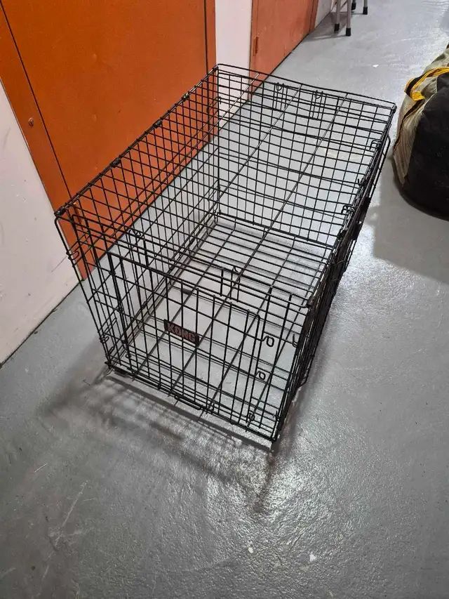Kong Pet Kettle