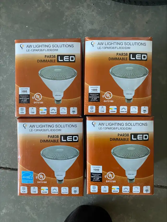 Dimmable 13 Watt Bulbs