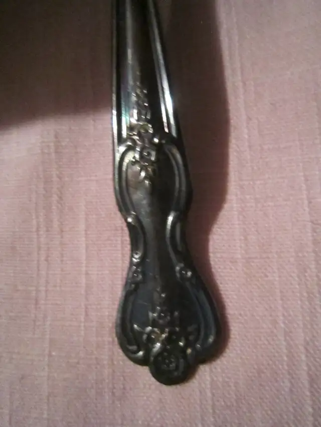 #47B   INSPIRATION/MAGNOLIA silverware set for 10
