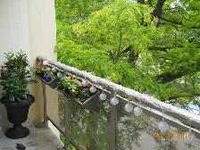 Fabulous Roommate/Large Room to Rent/ Apt to Share! - Photo 8