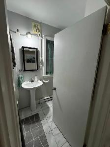 VIEUX NORD GRAND 4 1/2 À LOUER - Photo 7