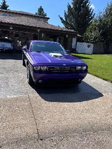 Dodge Challenger - Photo 6