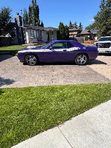 Dodge Challenger - Photo 7