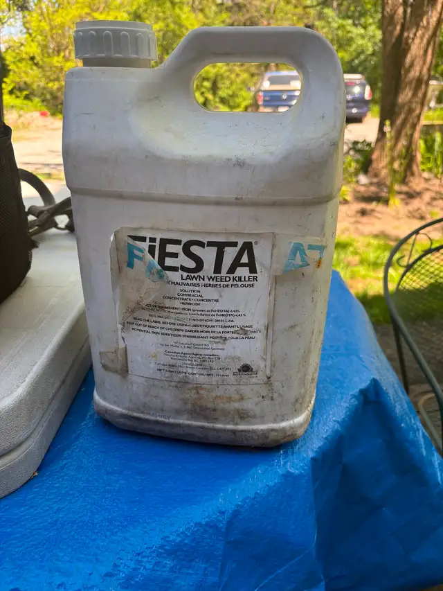 Fiesta herbicide weed killer