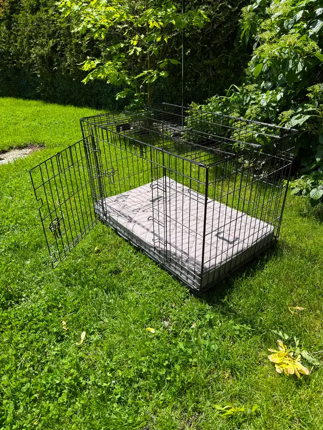 Cage (dog crate) et coussin pour chien quasi-neuve impeccable
