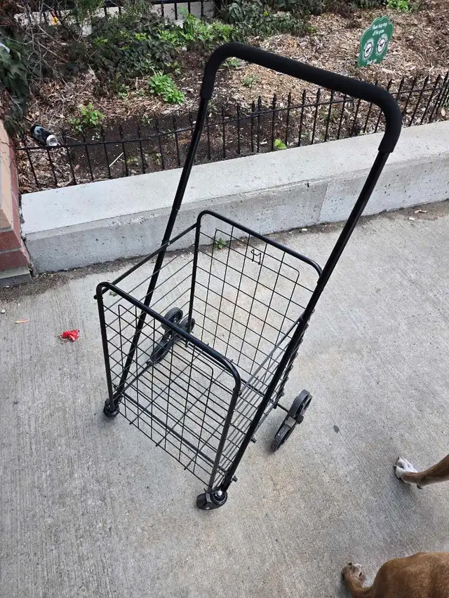retractable grocery  buggy