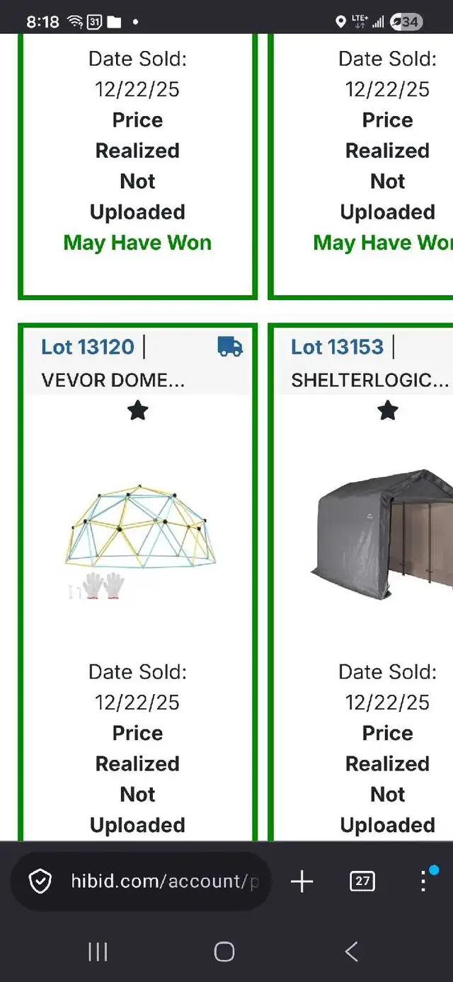 vevor 12 ft coming dome for children
