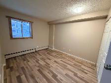 1 bedroom apartment with elevator - Photo 4