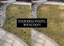 Winnipeg Dog Poop Removal | Exclusive Pricing | 587-971-4112