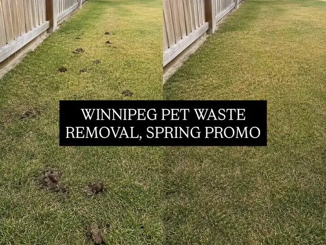 Love Your Dog, Hate the Poop? | 587-971-4112
