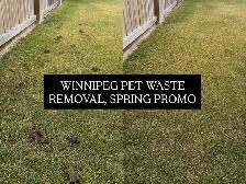 Love Your Dog, Hate the Poop? | 587-971-4112