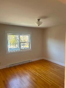 2 bedroom apartment - Photo 4