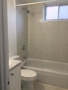 41/2 Longueuil (St-Hubert)   1225$ mois - Photo 9