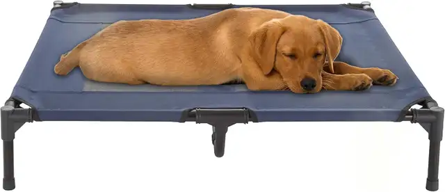 Petmaker elevated dog bed