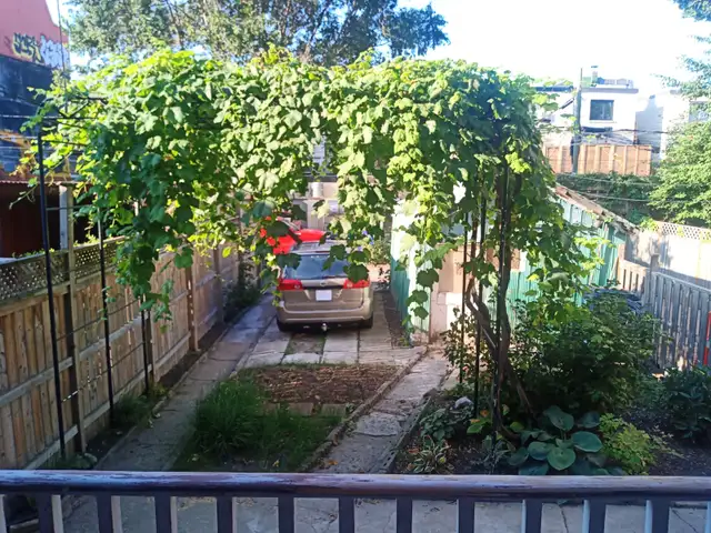 Big, 1Brm  balcony  backyard - July 1st