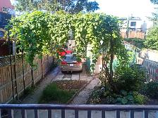 Big, 1Brm  balcony  backyard - July 1st