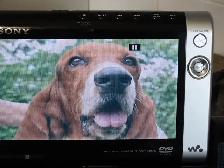 Sony D-VE7000S portable DVD/Cd player - Photo 5