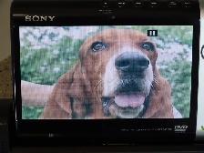 Sony D-VE7000S portable DVD/Cd player - Photo 6