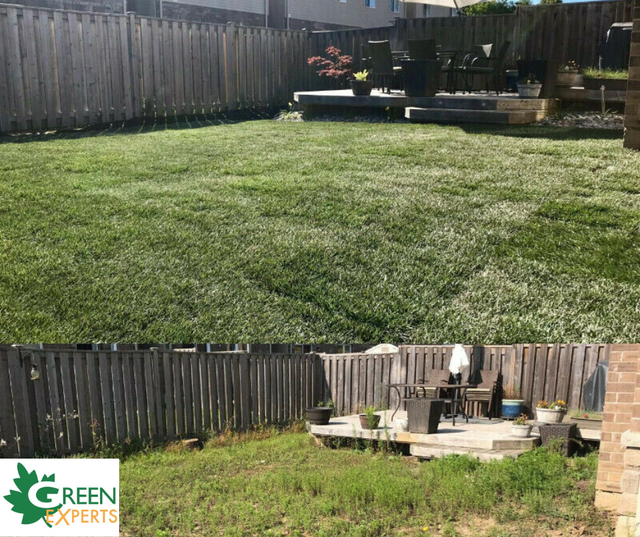 LANDSCAPING SOD INSTALL GARDEN BEDS WALKWAYS GRADING DRAINAGE