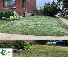 LANDSCAPING SOD INSTALL GARDEN BEDS WALKWAYS GRADING DRAINAGE - Photo 3