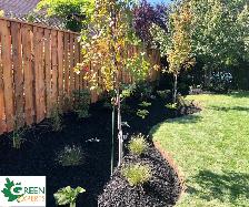 LANDSCAPING SOD INSTALL GARDEN BEDS WALKWAYS GRADING DRAINAGE - Photo 5