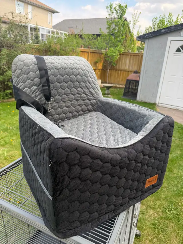 dog car seat