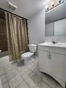1 Bedroom Basement Apartment for Rent in Mississauga - Photo 5