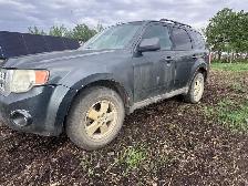 2009 FORD ESCAPE - Photo 2