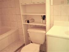 Yonge & Steeles: Basement apt 2bdr, Furnished $1800 from June 1 - Photo 5