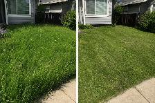 Lawn Mowing & Yard Cleanup
