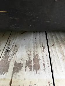 Horse Trailer Morgan Built Bravo 2 H Bumper Pull Immaculate - Photo 9