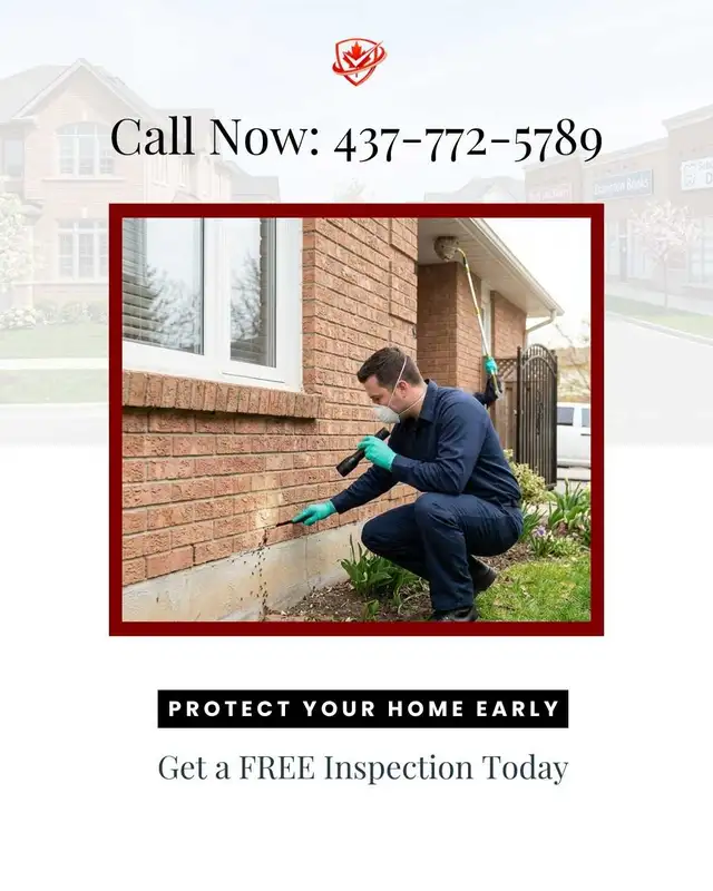 Bedbugs & Cockroaches Control
