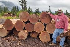 MILLER SAWMILLS - Photo 6