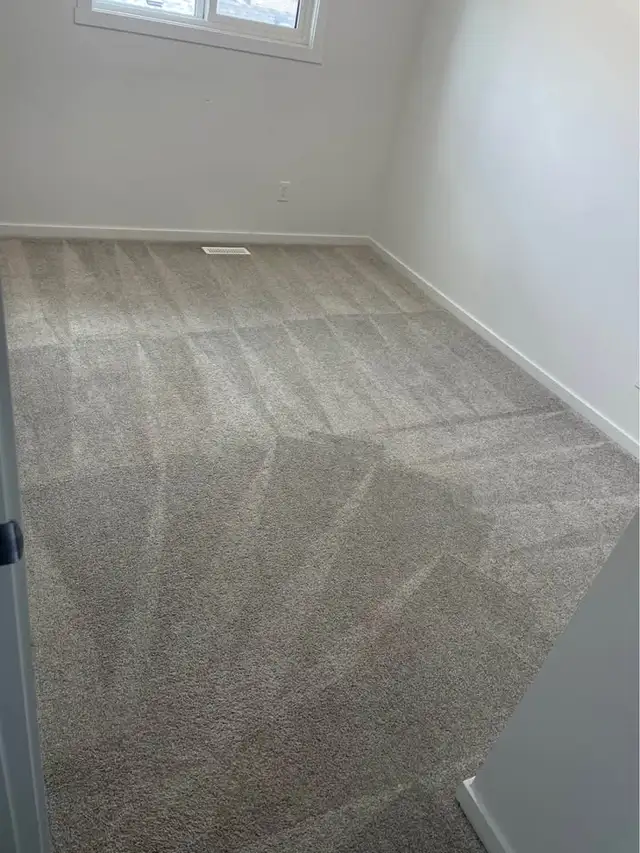 carpet deep cleaning