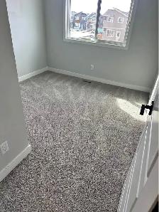 carpet deep cleaning - Photo 3