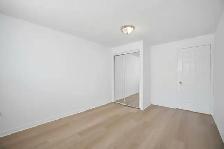 Basement for Rent (407/Mavis) - Photo 6