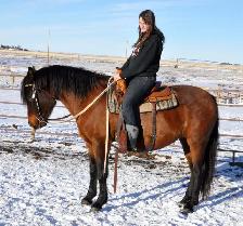 mare for sale - Photo 7