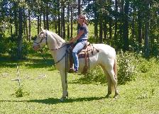 mare for sale - Photo 4