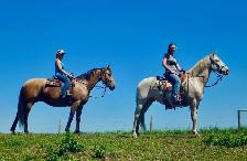 mare for sale - Photo 8