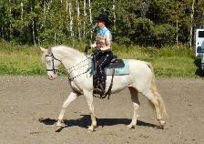 mare for sale - Photo 9