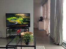 Downtown Yonge/College 1 Br luxury condo for rent - Photo 3