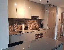 Downtown Yonge/College 1 Br luxury condo for rent - Photo 4