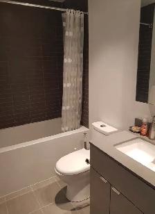 Downtown Yonge/College 1 Br luxury condo for rent - Photo 6