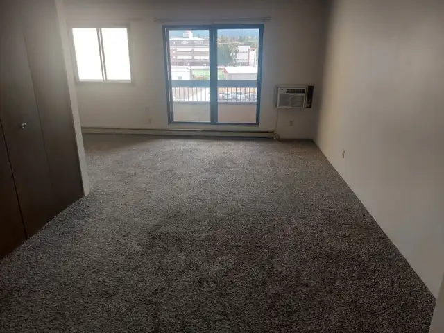 Senior Bachelor Suite 50